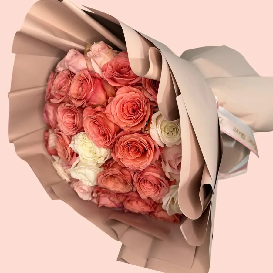 Sympathy & Funeral